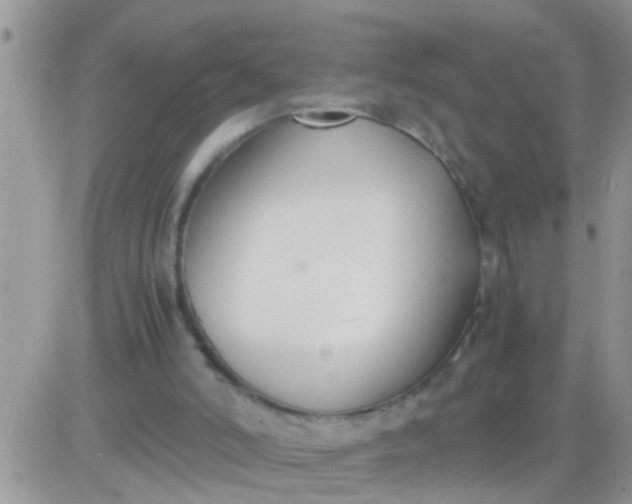 X0000081370006200701252026