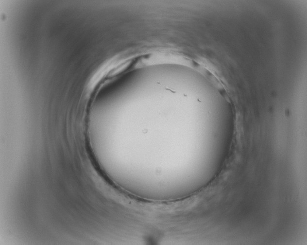 X0000081370007200701252026