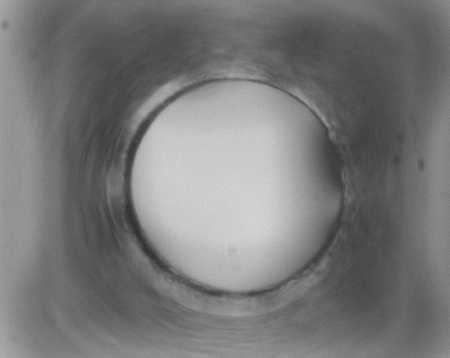 X0000081370008200701252026