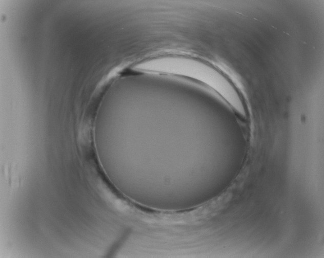 X0000081370009200701252026