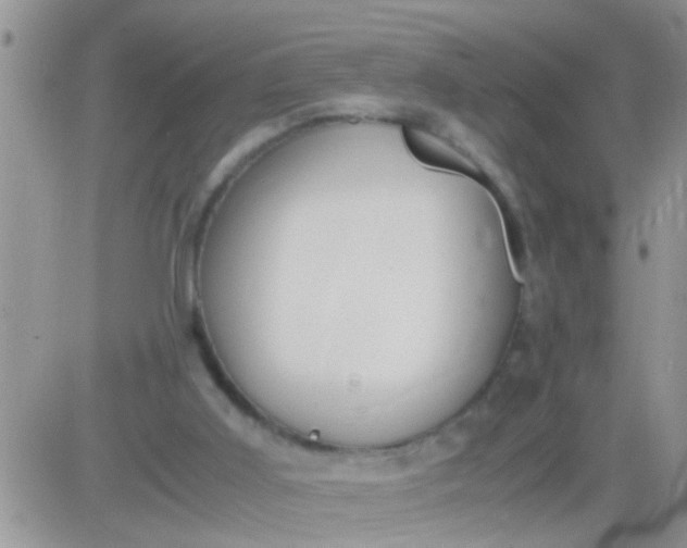 X0000081370011200701252025