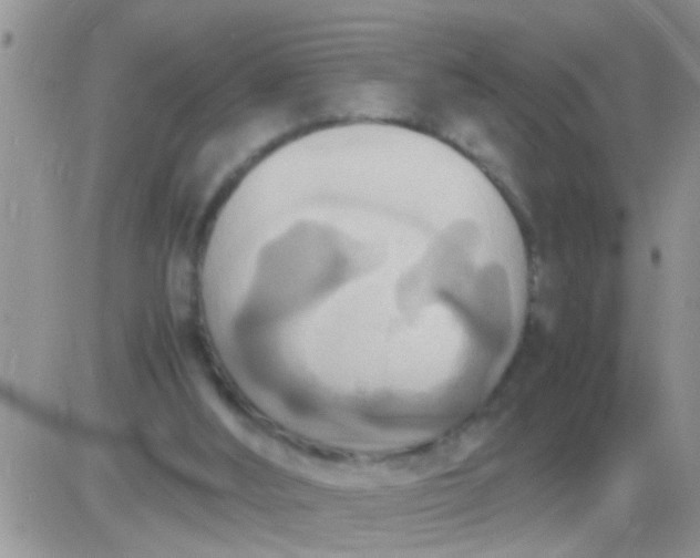 X0000081370012200701252025