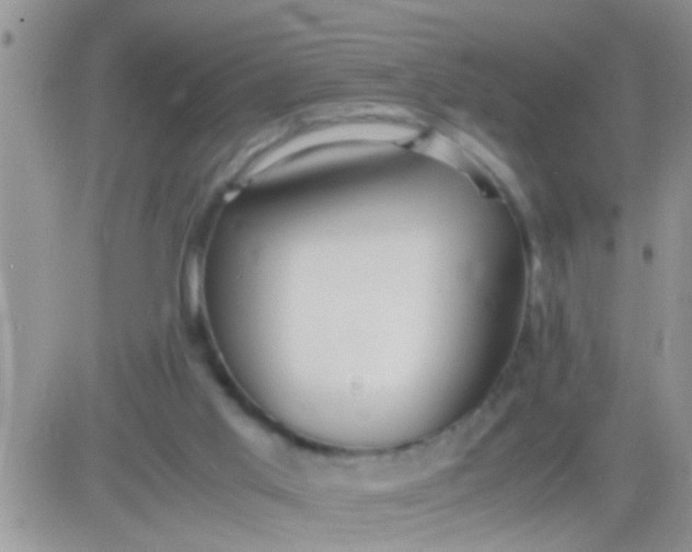 X0000081370013200701252025