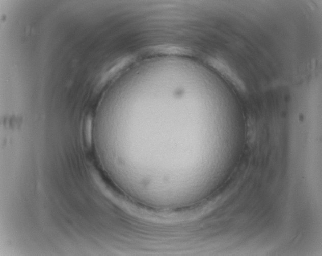 X0000081370014200701252025