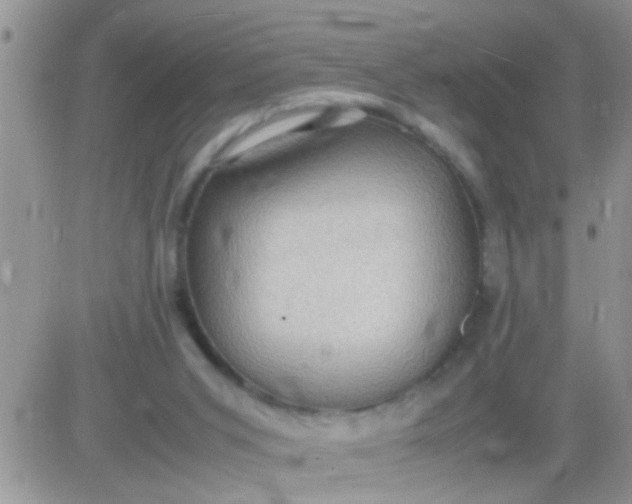 X0000081370015200701252025