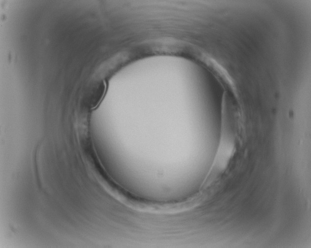 X0000081370017200701252025