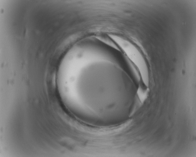 X0000081370019200701252025