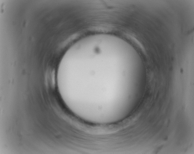 X0000081370020200701252025