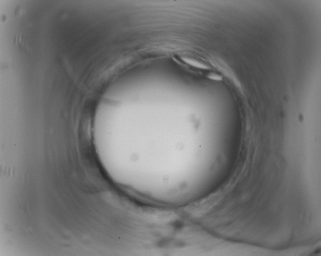 X0000081370021200701252025