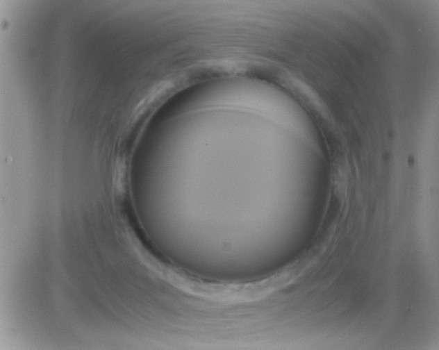 X0000081370023200701252025