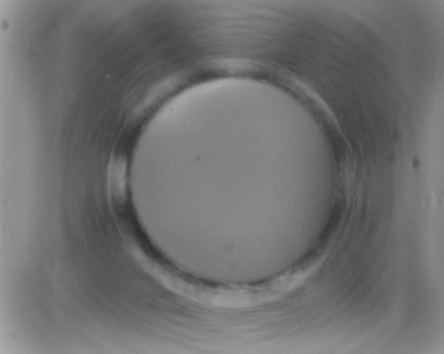 X0000081370024200701252025