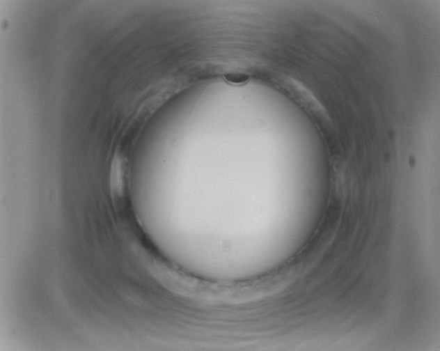 X0000081370026200701252025