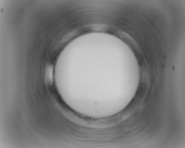 X0000081370028200701252025