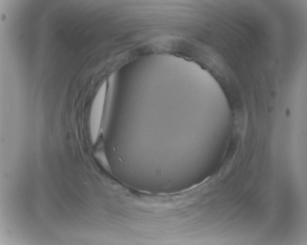 X0000081370029200701252025