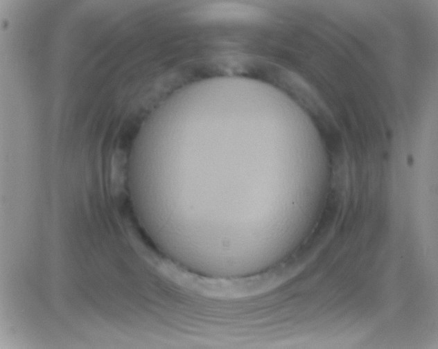 X0000081370030200701252025