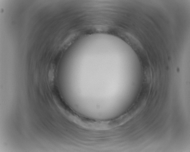 X0000081370032200701252025