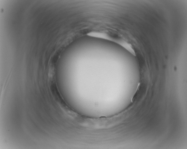 X0000081370033200701252025