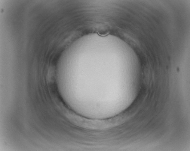 X0000081370034200701252025