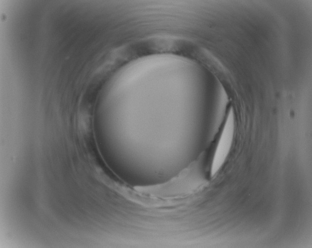 X0000081370035200701252025