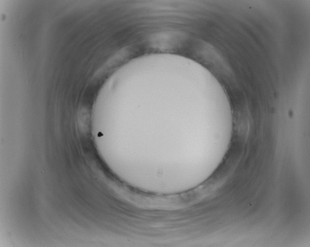 X0000081370036200701252025