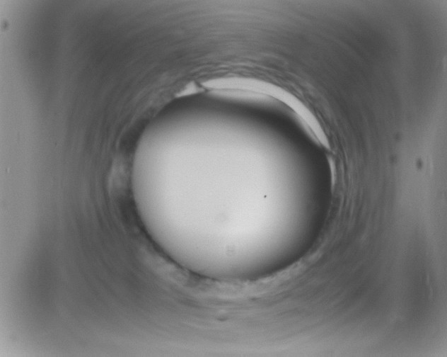 X0000081370037200701252025