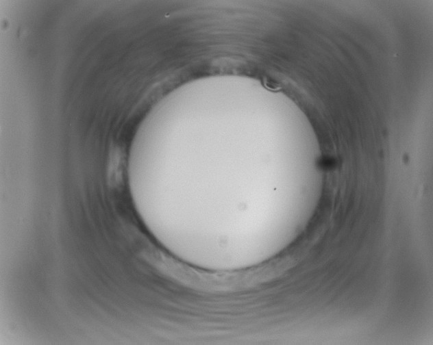 X0000081370038200701252025