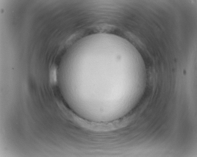 X0000081370042200701252025