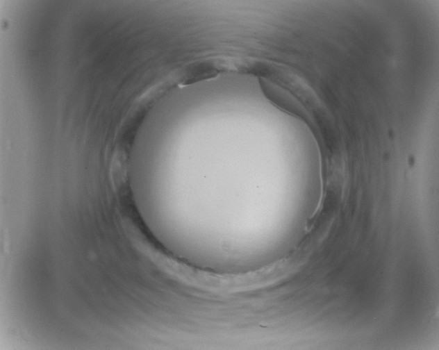 X0000081370043200701252025