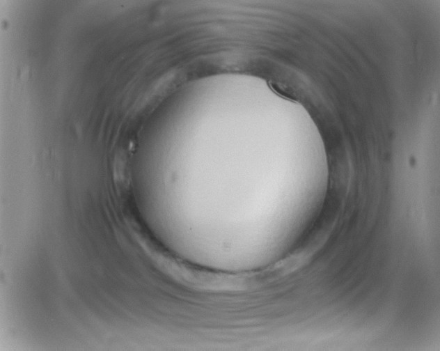 X0000081370044200701252025