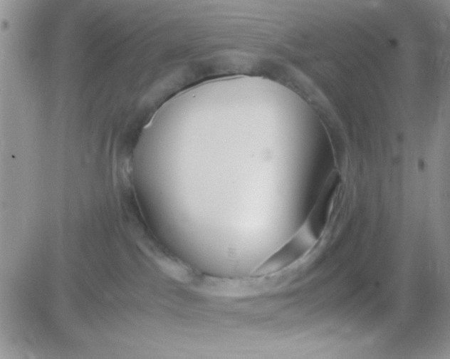 X0000081370045200701252025