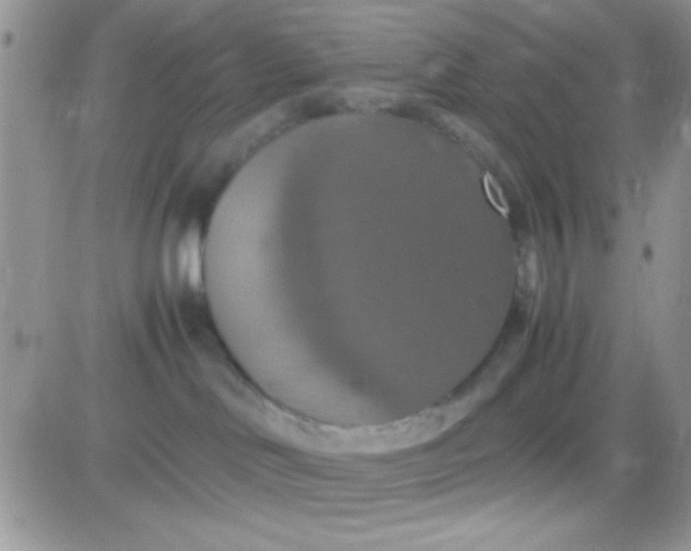 X0000081370046200701252025