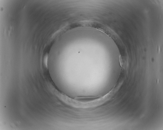 X0000081370047200701252025