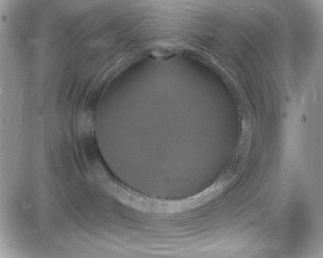 X0000081370048200701252025