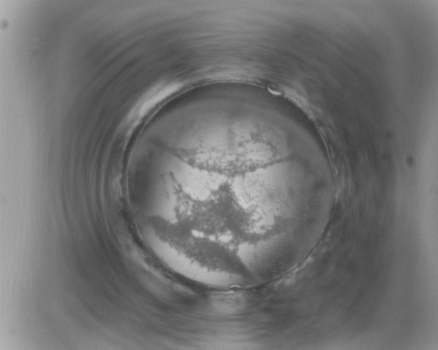 X0000081370050200701252024