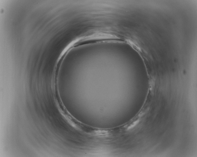 X0000081370052200701252024