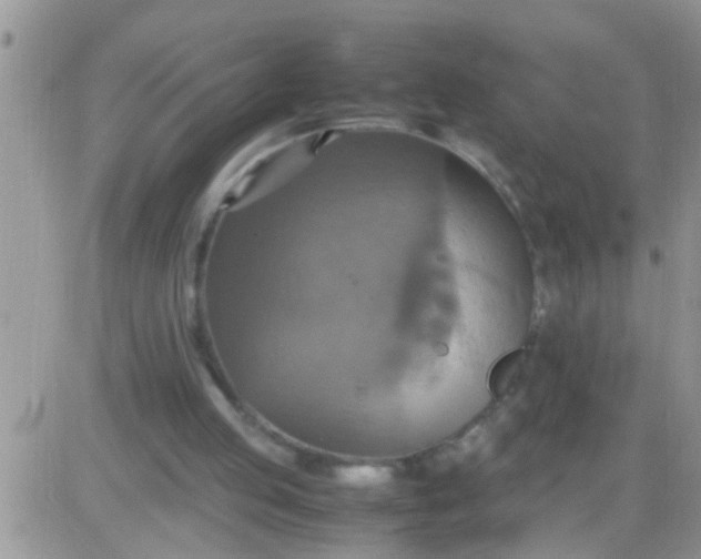 X0000081370053200701252024