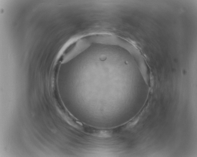 X0000081370056200701252024