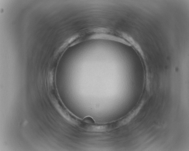 X0000081370057200701252024