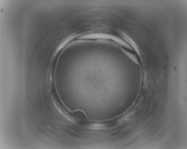 X0000081370059200701252024