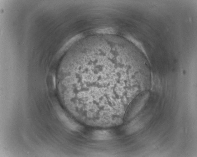 X0000081370061200701252024