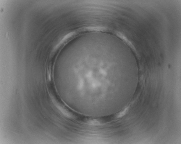 X0000081370062200701252024