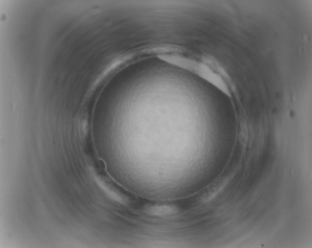 X0000081370063200701252024