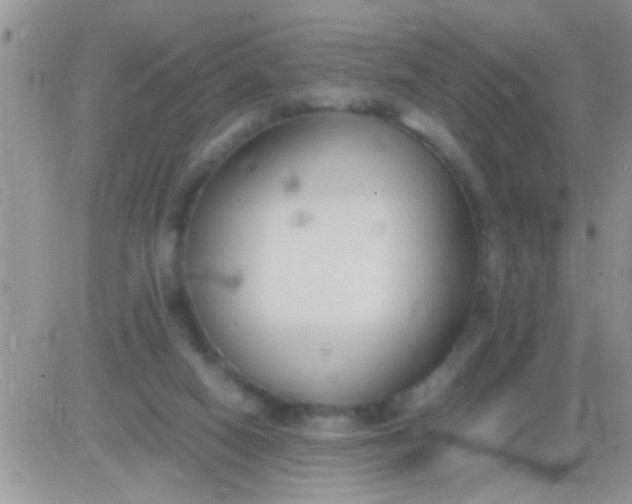 X0000081370066200701252024