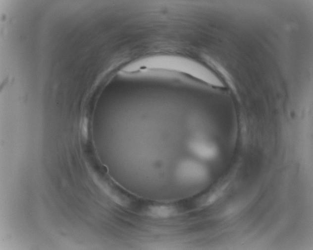 X0000081370067200701252024