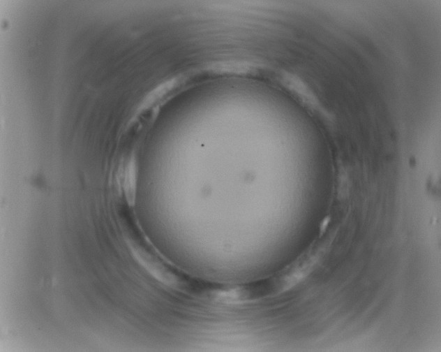 X0000081370068200701252024