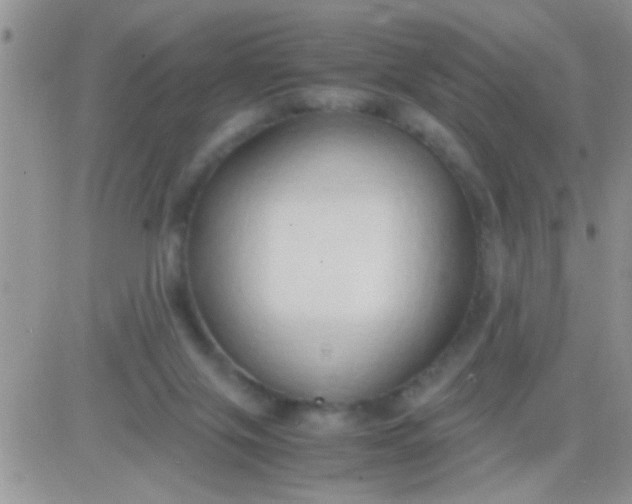 X0000081370071200701252024