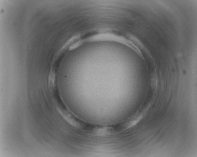 X0000081370072200701252024