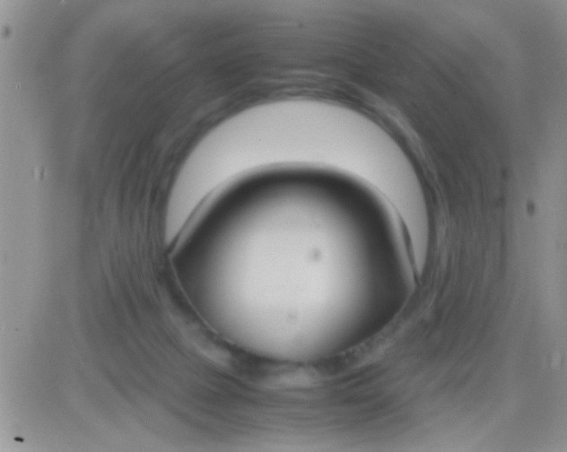 X0000081370073200701252024