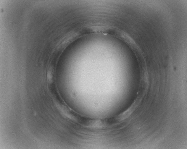 X0000081370074200701252025