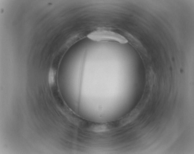 X0000081370075200701252025